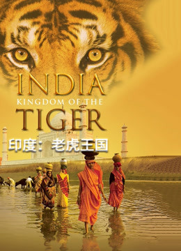 印度：老虎王国